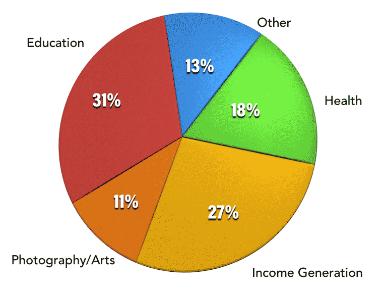 pie chart Other 13%,Health 18%,Income Generation 27%,Photography/Arts 11%,Eduction 31%