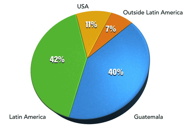 Pie Chart, Guatemala 40%, Latin America 42%, USA 11%, Other countries 7%